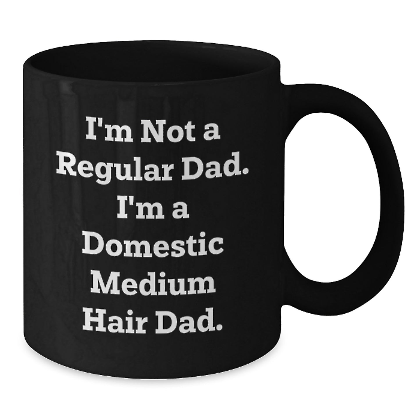 Domestic Medium Hair Dad Gifts, Funny Black Coffee Mugs, Graduation Unique Gifts from Men to Domestic Medium Hair, 'I'm Not A Regular Dad' Inspirational Quote - Additional