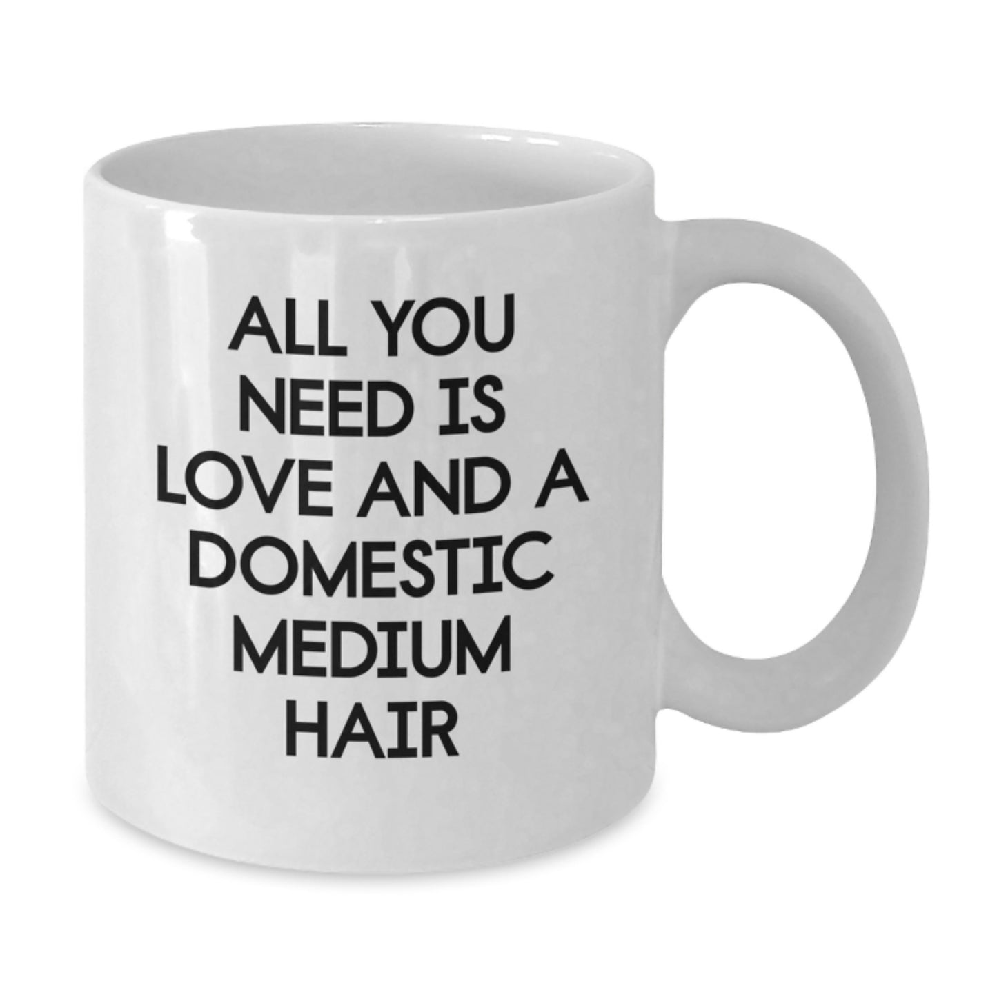 Gifts from Family to Domestic Medium Hair Cat Lovers - All You Need Is Love And A Domestic Medium Hair Coffee Mug for Graduation - Additional