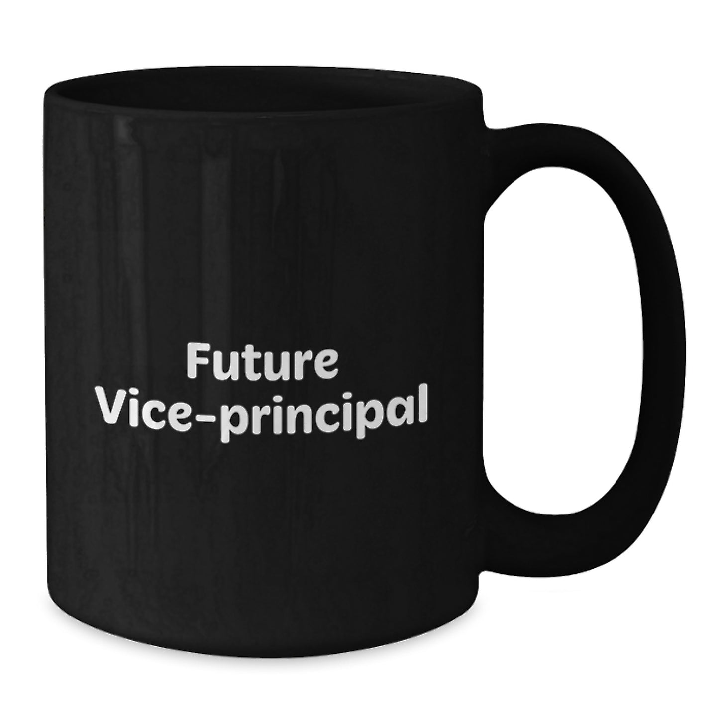 Funny Future Vice-Principal Graduation Gifts from Friends, Vice-Principal Unique Gifts for Men, Women, Coworkers, Family, and Friends - Additional