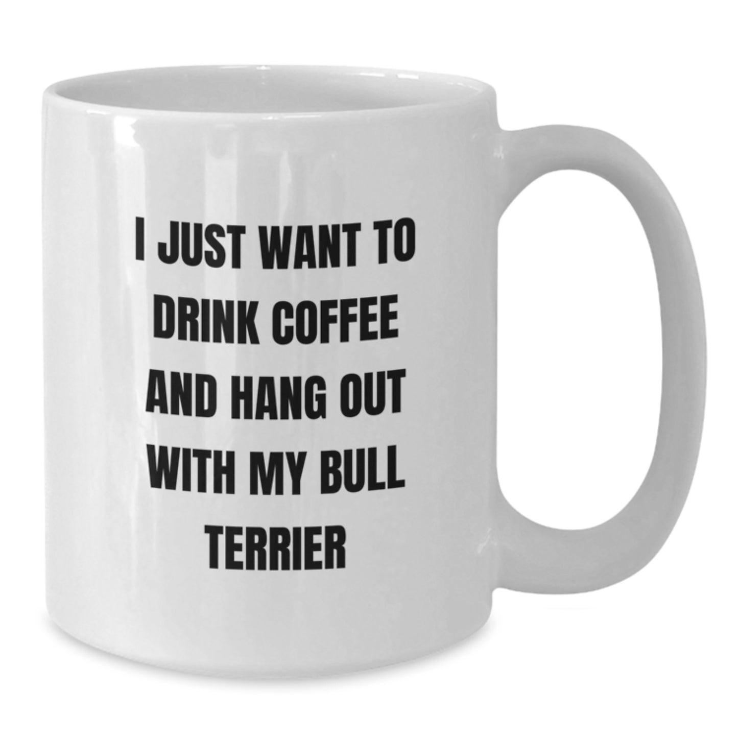 Bull Terrier Dog Lovers Funny Gift White Coffee Mug, Gifts from Friends and Family, 'I Just Want To Drink Coffee And Hang Out With My Bull Terrier', Birthday Unique Presents for Women and Men - Additional