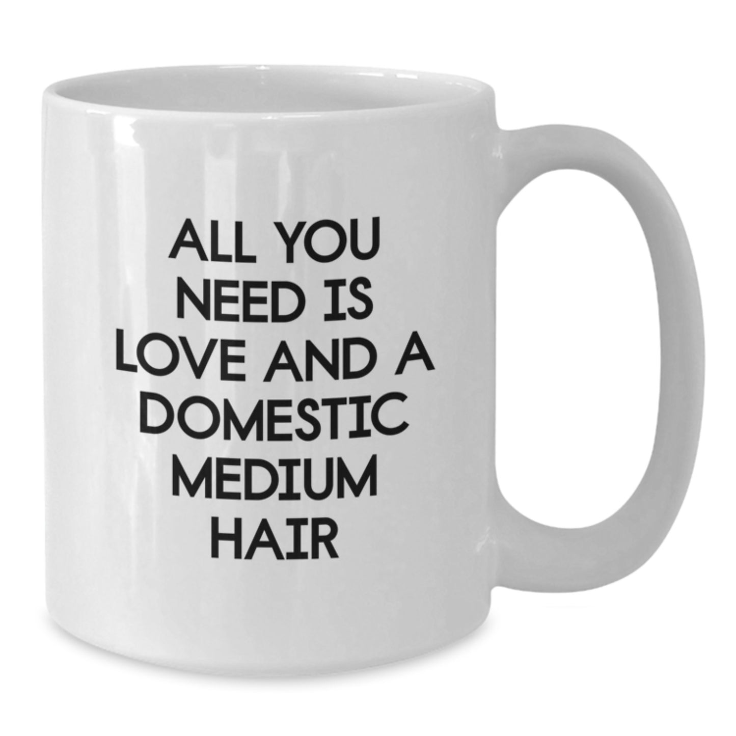Gifts from Family to Domestic Medium Hair Cat Lovers - All You Need Is Love And A Domestic Medium Hair Coffee Mug for Graduation - Additional
