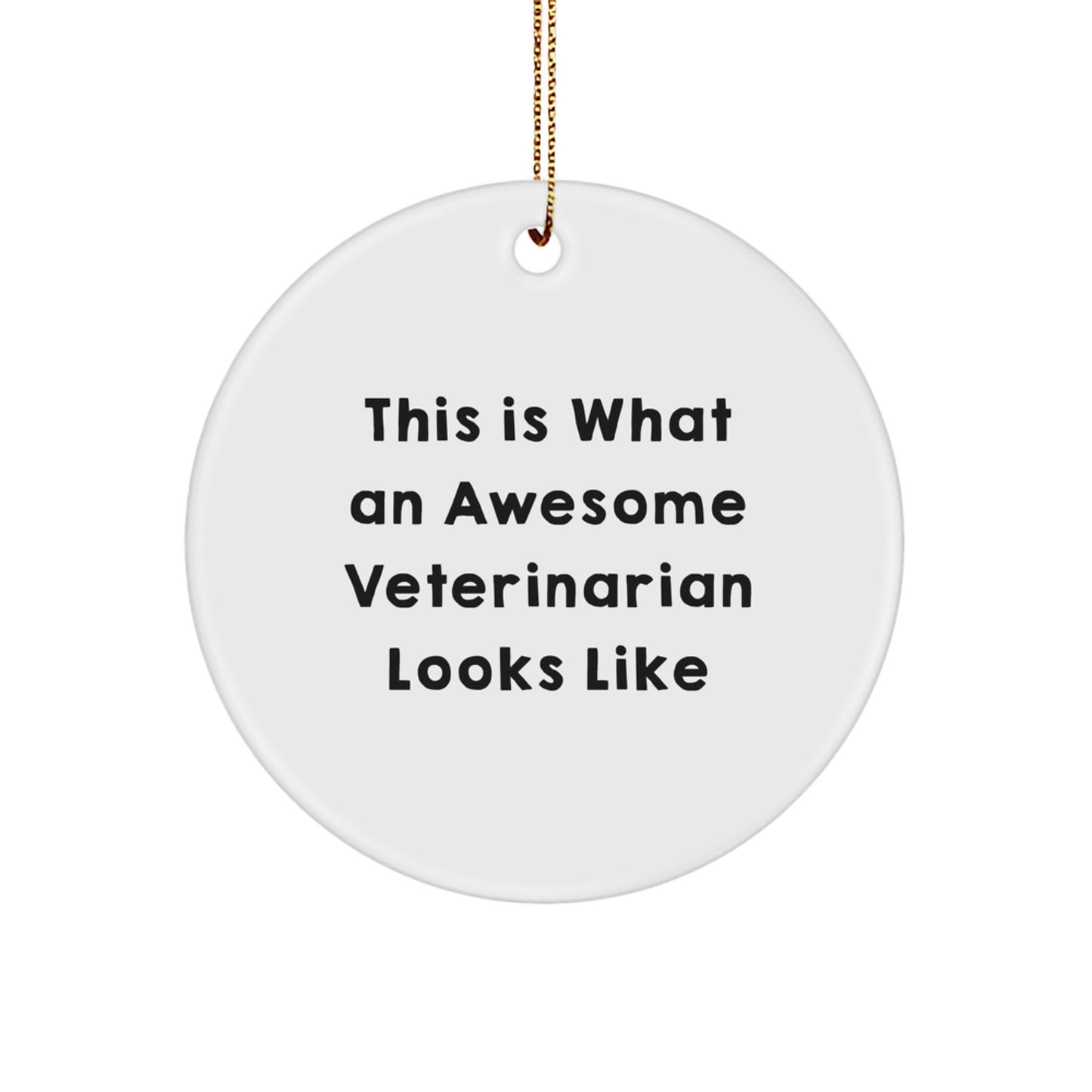 Veterinarian Gifts from Friends - Inspirational Circle Ornament for Christmas - 'This Is What An Awesome Veterinarian Looks Like' - Gifts for Veterinarian - Image 1