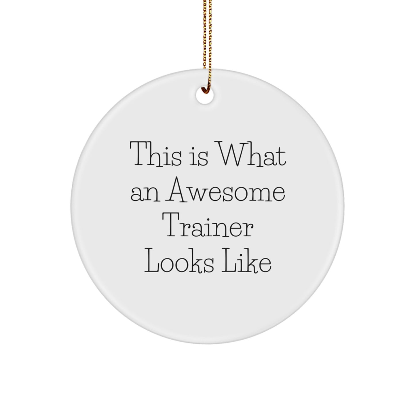 Funny Trainer Gifts from Friends - This Is What An Awesome Trainer Looks Like Circle Ornament for Christmas - Image 1
