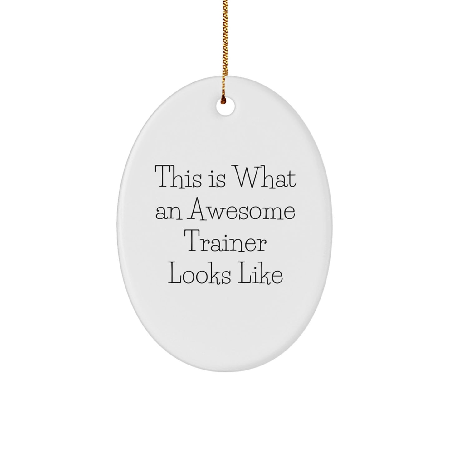 Funny Trainer Gifts from Friends - This Is What An Awesome Trainer Looks Like - Oval Ornament for Christmas - Image 1