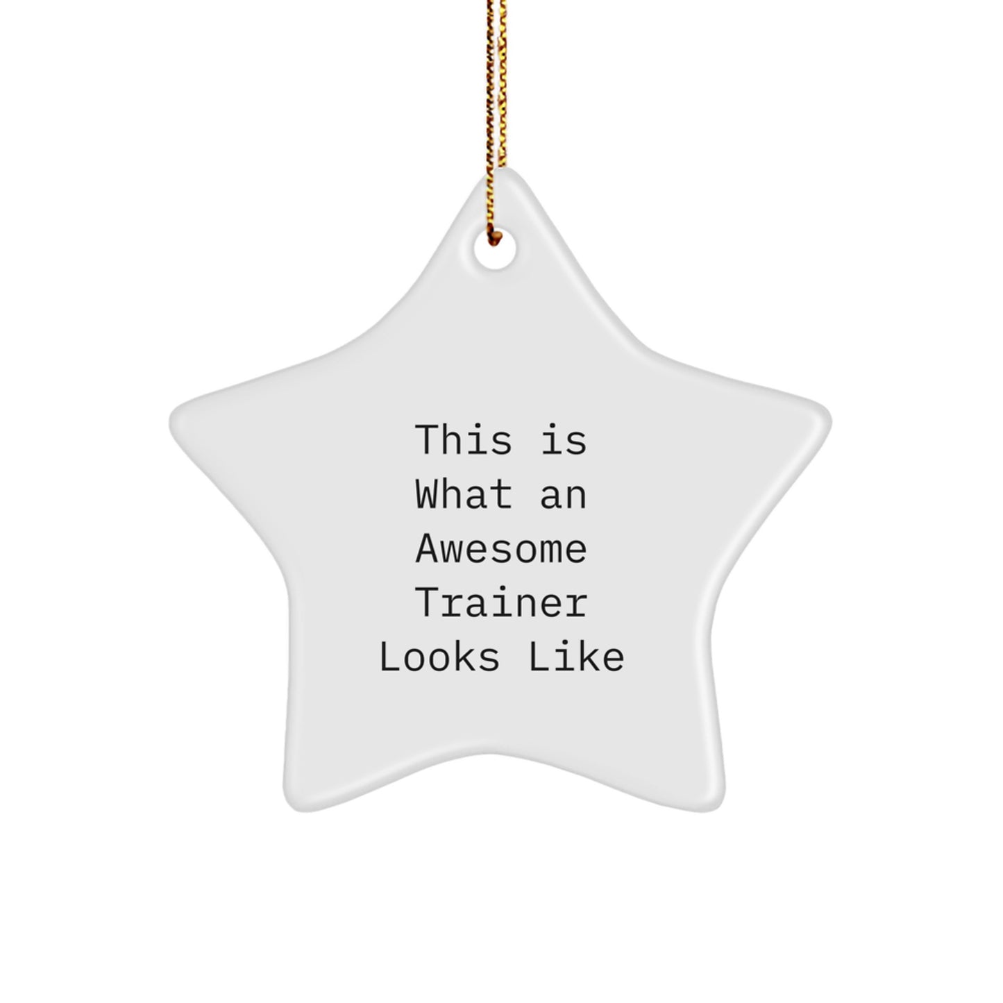 Inspirational Trainer Gifts from Friends, Christmas Unique Star Ornaments for Trainers - Image 1