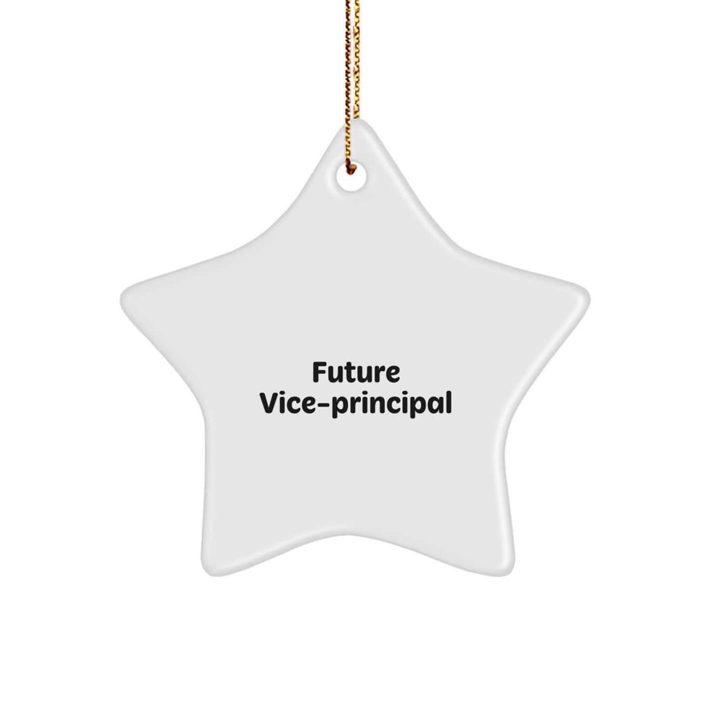 Funny Vice-principal Quote Star Ornament, Gifts from Friends or Coworkers for Vice-principal, Unique Christmas Unique Gifts for Home Office Decorations - Image 1