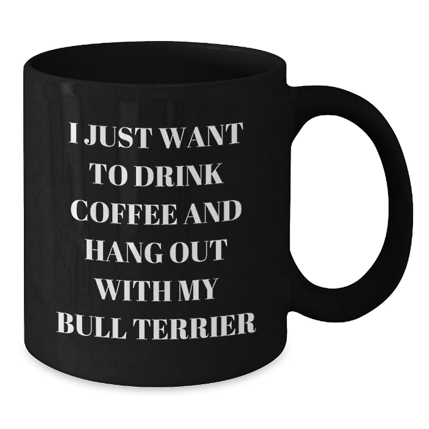 Funny Bull Terrier Dog Gifts for Men from Friends - Black Coffee Mug for Birthday 'I Just Want To Drink Coffee And Hang Out With My Bull Terrier' - Additional