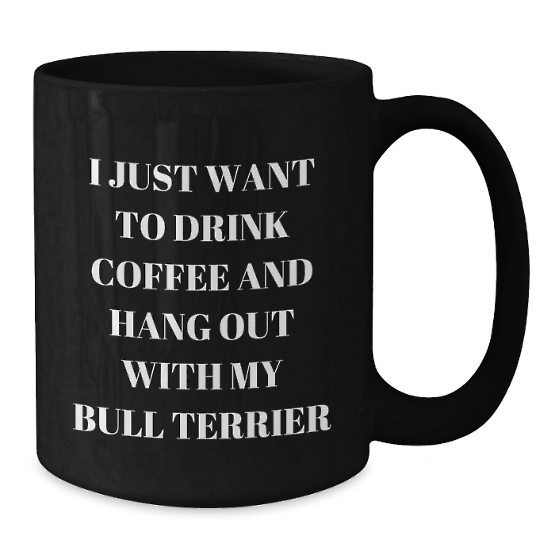 Funny Bull Terrier Dog Gifts for Men from Friends - Black Coffee Mug for Birthday 'I Just Want To Drink Coffee And Hang Out With My Bull Terrier' - Additional