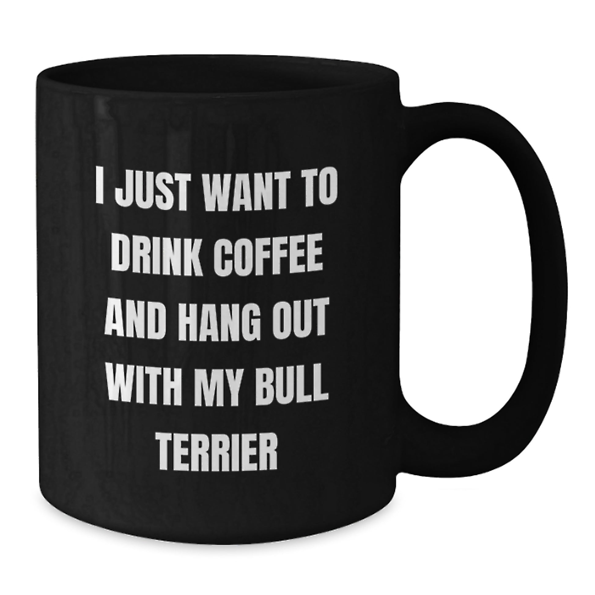 Funny Bull Terrier Dog Gifts for Men from Friends, I Just Want to Drink Coffee and Hang Out with My Bull Terrier, Black Coffee Mug - Additional