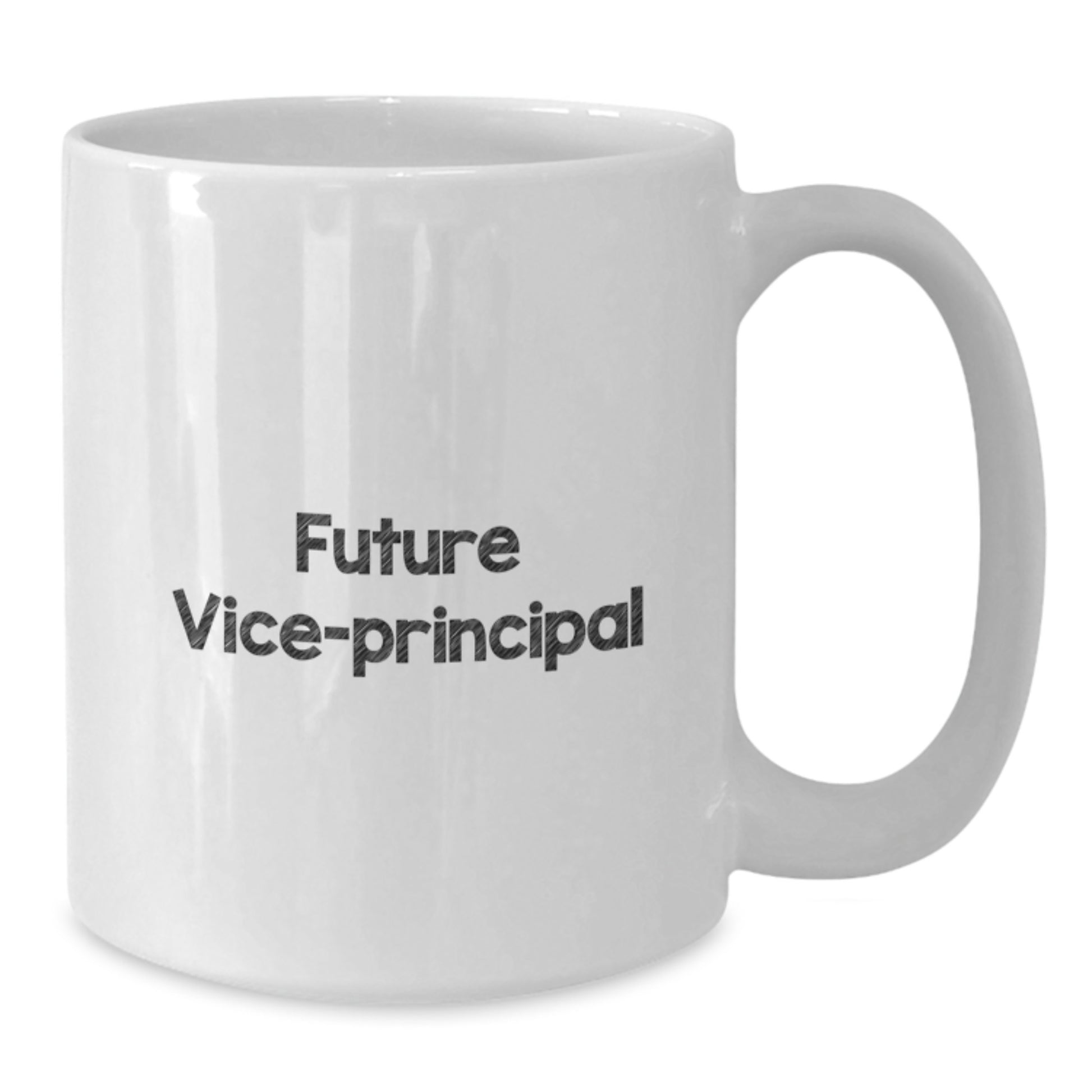 Funny Vice-Principal Gifts, White Coffee Mug for Future Vice-Principal Graduation, 'You're Going to Make a Great Vice-Principal', Gifts from Family, Friends or Coworkers - Additional