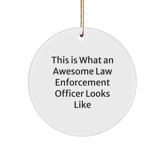Funny Law Enforcement Officer Gifts from Friends - This Is What Awesome Looks Like Christmas Circle Ornament for Men, Women, Coworkers, Family - Image 1