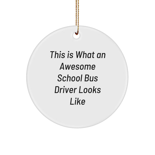 Funny School Bus Driver Gifts for Christmas, 'This Is What An Awesome School Driver Looks Like' Circle Ornament Gifts from Friends to Family - School Bus Driver Gifts - Image 1