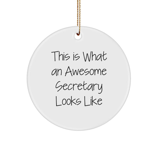 Funny Secretary Gifts from Friends - This Is What An Awesome Secretary Looks Like Christmas Circle Ornament for Her - Image 1