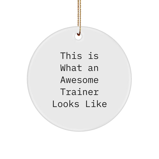 Funny Trainer Gifts from Friends - This Is What An Awesome Trainer Looks Like Circle Ornament for Men Women Coworkers Family - Image 1