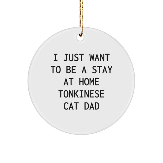 Funny Tonkinese Cat Dad Gifts for Christmas, 'I Just Want To Be A Stay At Home Tonkinese Cat Dad' Circle Ornament from Gifts for Men, Friends, Coworkers, and Family - Image 1