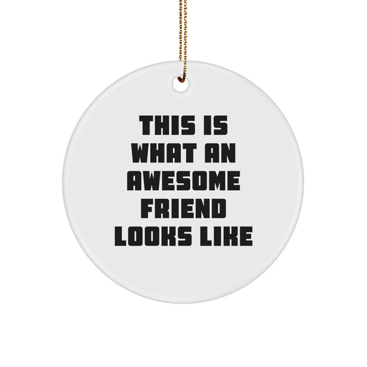 Funny Friend Circle Ornament Gifts from Men to Friends for Christmas - 'This Is What An Awesome Friend Looks Like' - Image 1