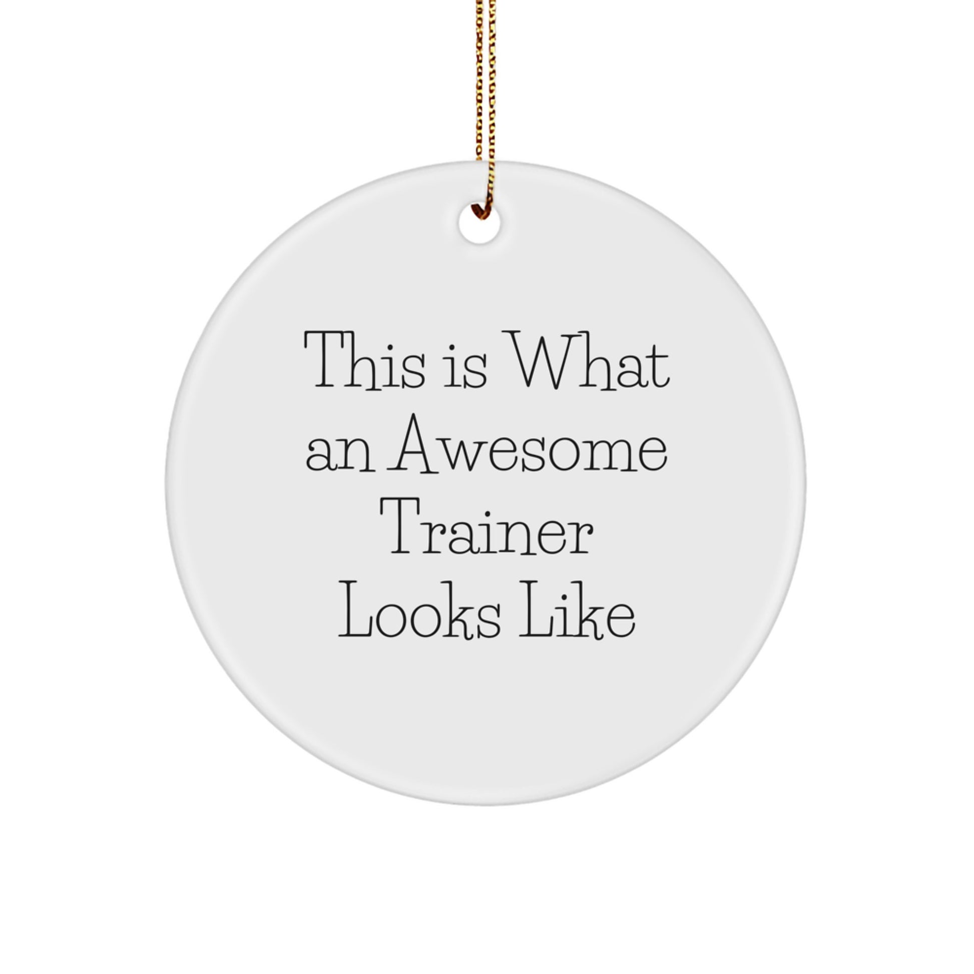 Funny Trainer Gifts from Friends - This Is What An Awesome Trainer Looks Like Circle Ornament for Christmas - Image 1