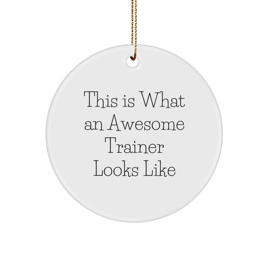 Funny Trainer Gifts from Friends - This Is What An Awesome Trainer Looks Like Circle Ornament for Christmas - Image 1