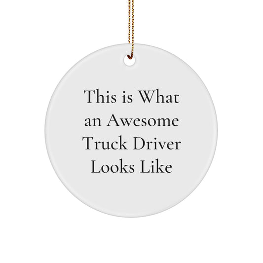 Truck Driver Gifts from Friends - Circle Ornament 'This Is What An Awesome Truck Driver Looks Like' - Christmas Unique - Image 1