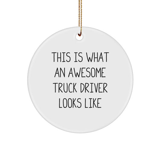 Truck Driver Gifts from Friends for Christmas - This Is What Awesome Looks Like, Circle Ornament, Funny Quote - Image 1