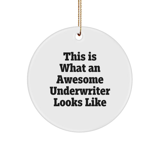 Funny Underwriter Gifts from Friends - This Is What An Awesome Circle Ornament Looks Like for Christmas - Image 1