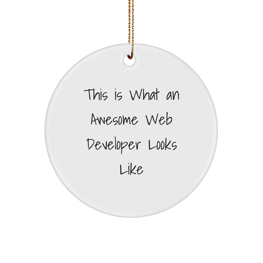 Funny Web Developer Gifts for Men from Friends - Circle Ornament This Is What An Awesome Web Developer Looks Like, Unique Christmas Memorable Presents for Coworkers or Family - Image 1