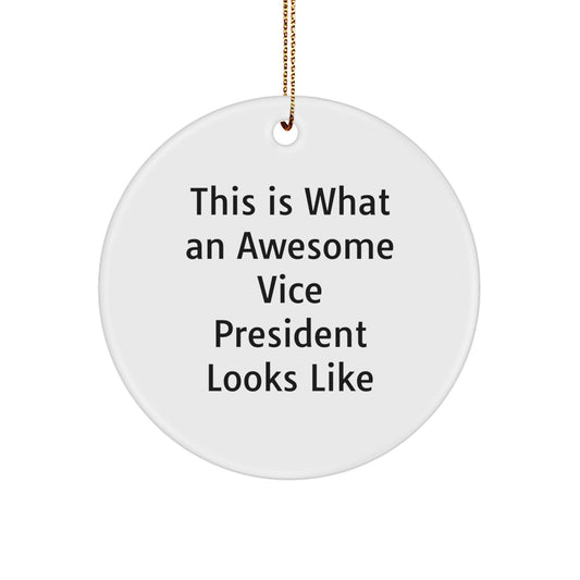 Funny Vice President Gifts from Men, Circle Ornaments This Is What An Awesome Vice President Looks Like, Christmas Unique Gifts for Vice President - Image 1