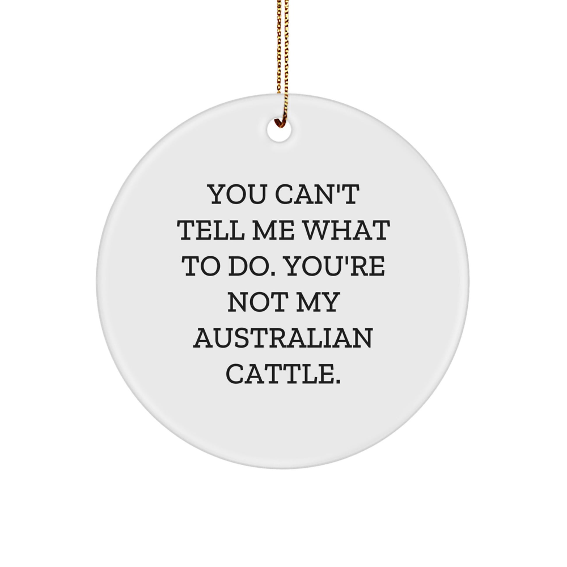 Australian Cattle Dog Gifts from Friends for Men - 'You Can't Tell Me What To Do' Circle Ornament, Christmas Unique Australian Cattle Dog Decor - Image 1