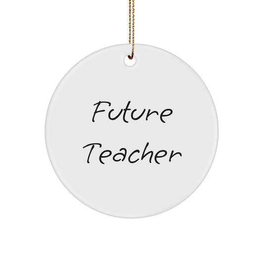 Funny Future Teacher Christmas Circle Ornament Gifts from Family, Gifts for Teacher - Image 1