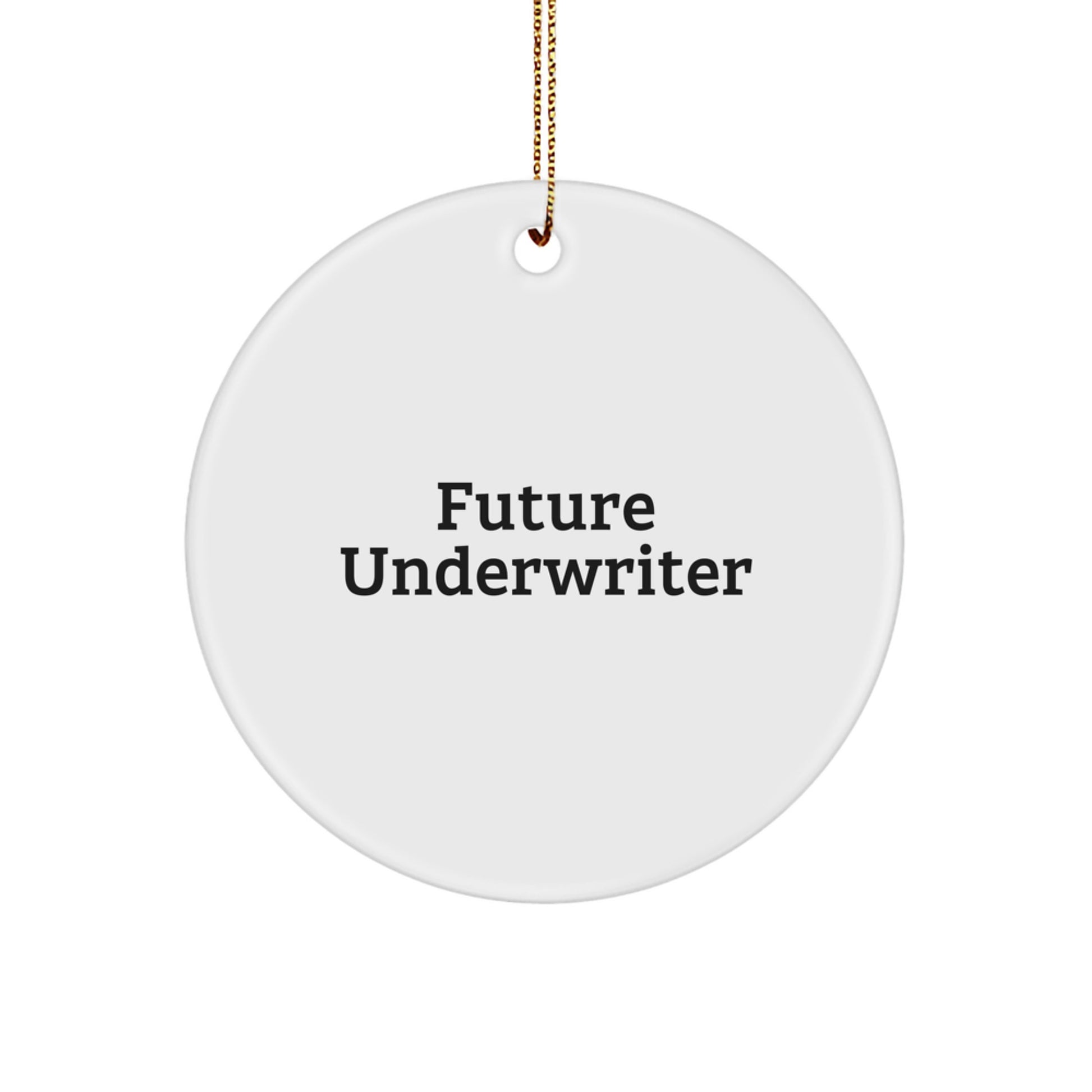 Funny Underwriter Gifts, 'Future Underwriter' Circle Ornament for Women, Men, Friends, or Family, Unique Christmas Unique Gifts from Men, Women, or Coworkers - Image 1