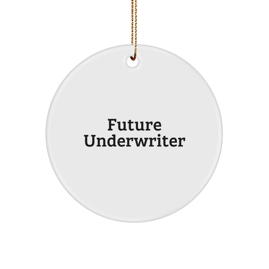 Funny Underwriter Gifts, 'Future Underwriter' Circle Ornament for Women, Men, Friends, or Family, Unique Christmas Unique Gifts from Men, Women, or Coworkers - Image 1