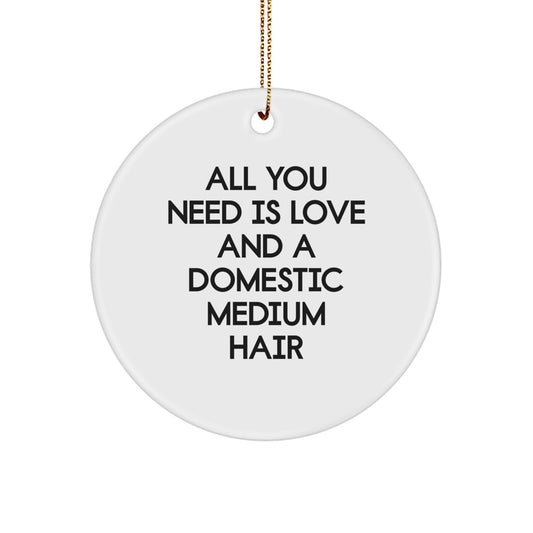 Domestic Medium Hair Cat Circle Ornament Gifts from Friends for Christmas - 'All You Need Is Love And A Domestic Medium Hair' Quote - Image 1