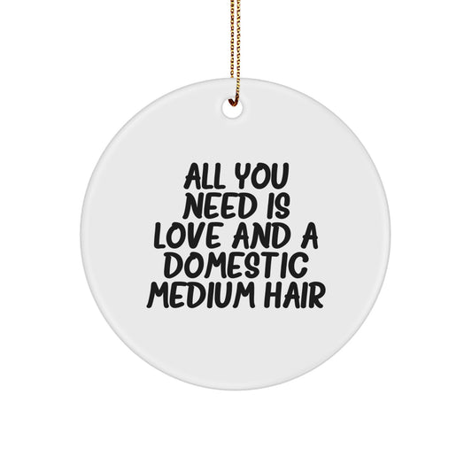 Domestic Medium Hair Gifts from Women - Circle Ornament with 'All You Need Is Love And A Domestic Medium Hair' Quote, Christmas Unique Gifts for Family and Friends - Image 1