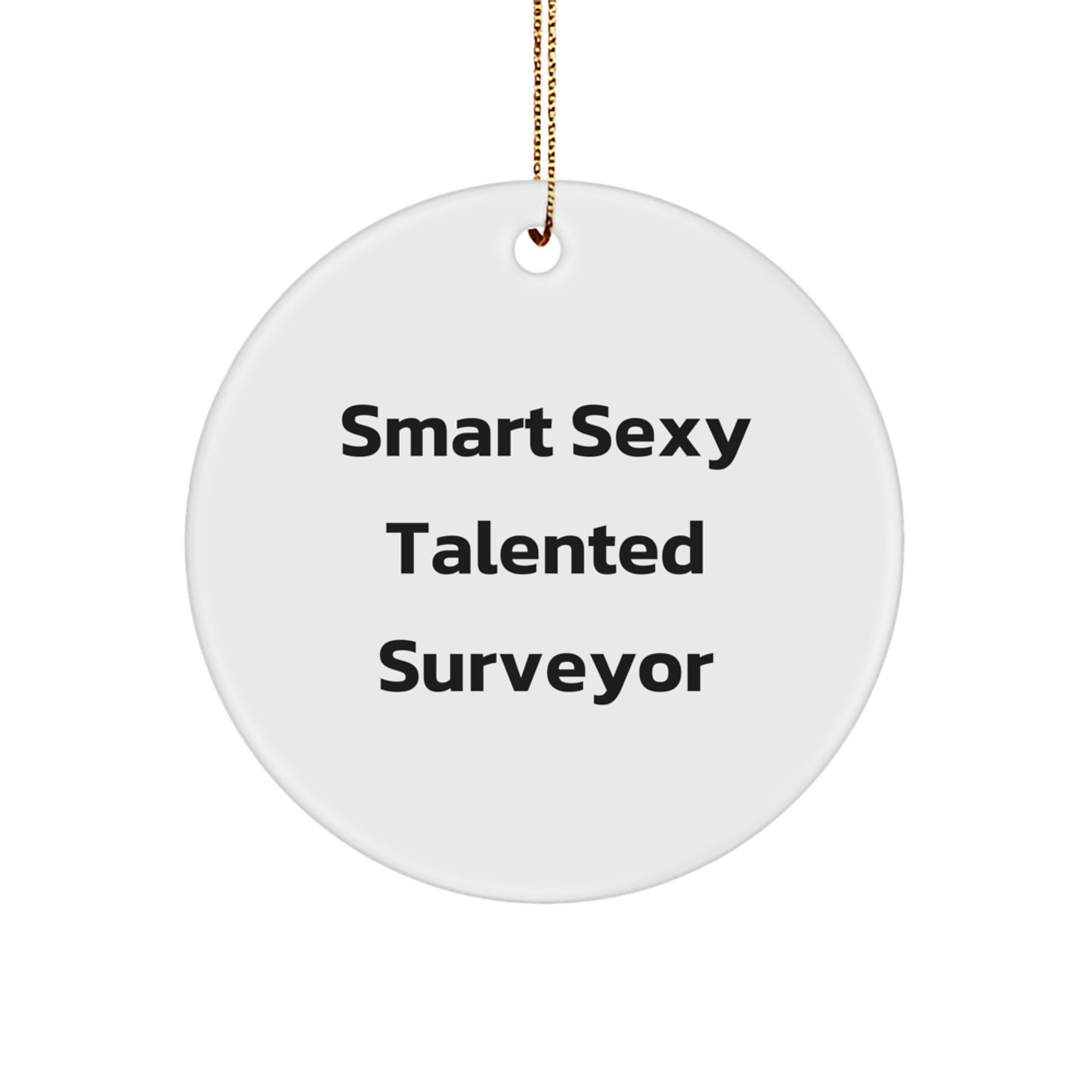 Smart Sexy Talented Surveyor's Christmas Unique Gift, Circle Ornament from Friends, Perfect for Surveyor Lovers - Image 1
