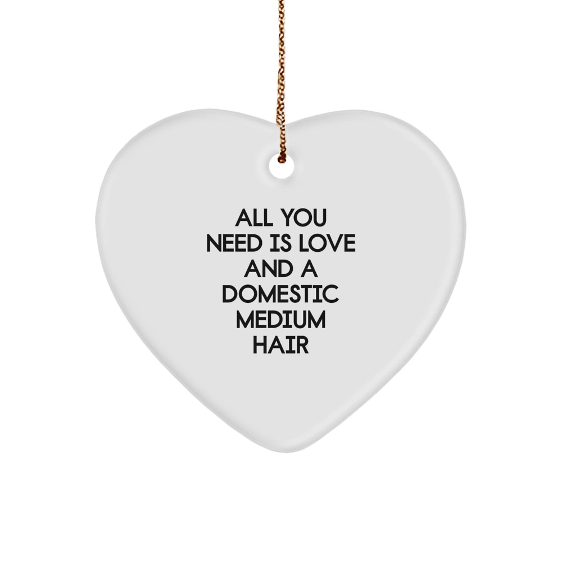 Domestic Medium Hair Cat Gifts from Men, Heart Ornament, Christmas Unique Love and Heart Decor - Image 1