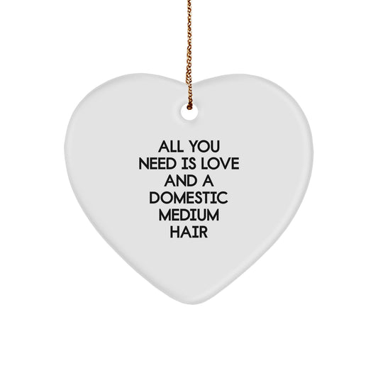 Domestic Medium Hair Cat Gifts from Men, Heart Ornament, Christmas Unique Love and Heart Decor - Image 1