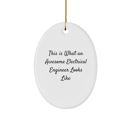 Gifts from Friends for Electrical Engineers - This Is What Awesome Looks Like - Oval Ornament for Christmas - Image 1