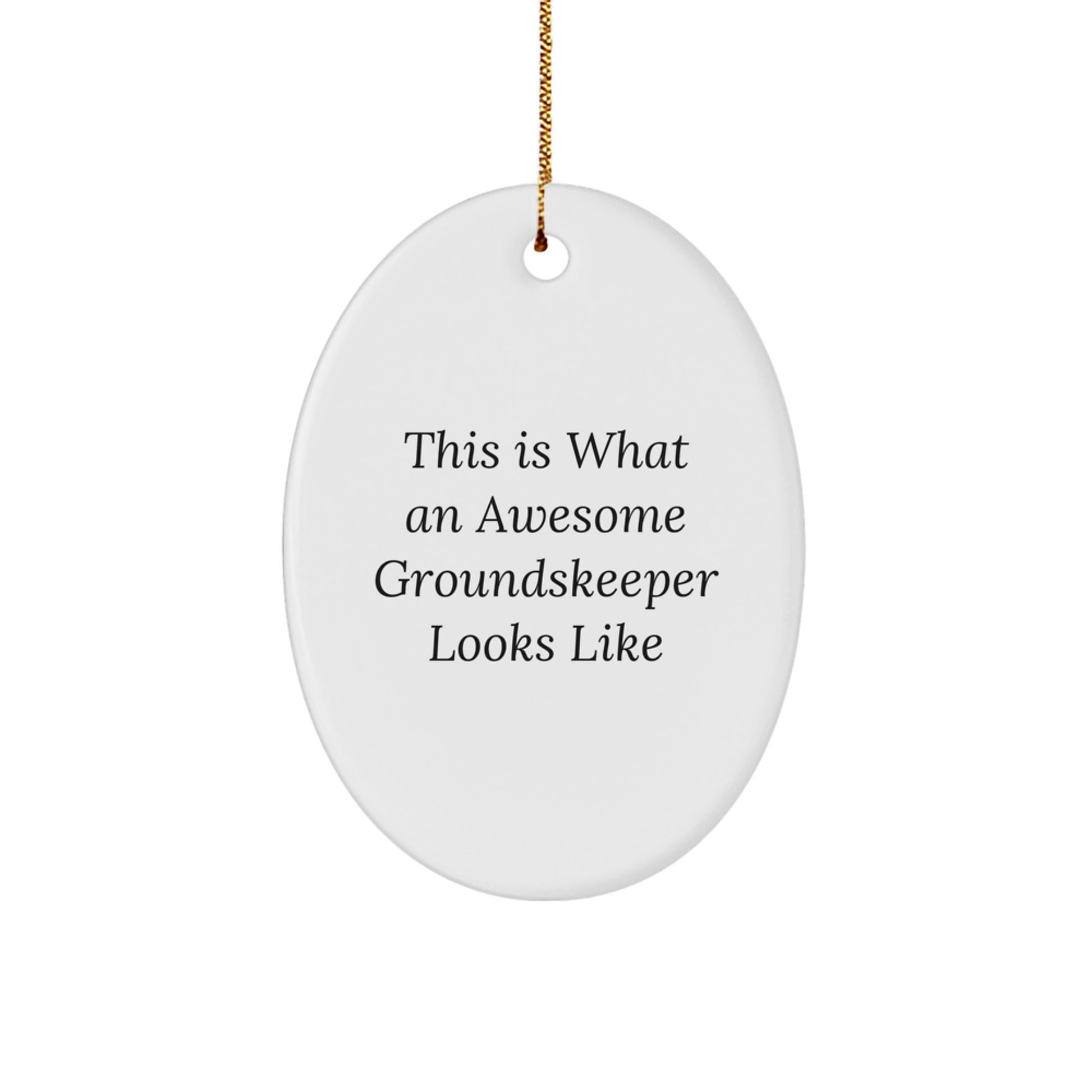 groundskeeper Gifts from Friends - This Is What An Awesome groundskeeper Looks Like Oval Ornament for Christmas - Image 1