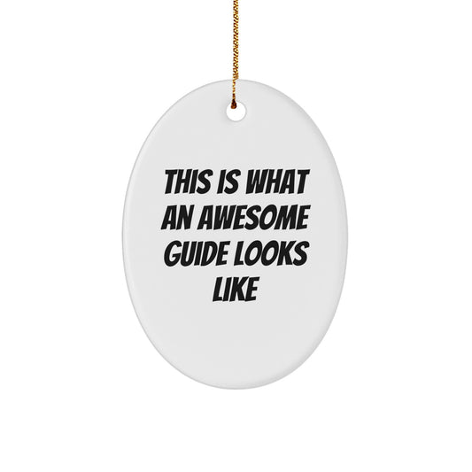 Funny Guide Gifts from Friends and Family - This Is What Awesome Looks Like, Oval Ornament for Christmas - Image 1