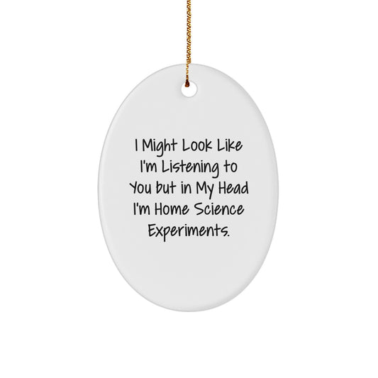 Funny Home Science Experiments Gifts, Oval Ornament with Inspirational Quote, Gifts from Family for Home Science Experiments Lovers, Vibrant White Christmas Ornaments for Science Enthusiasts - Image 1