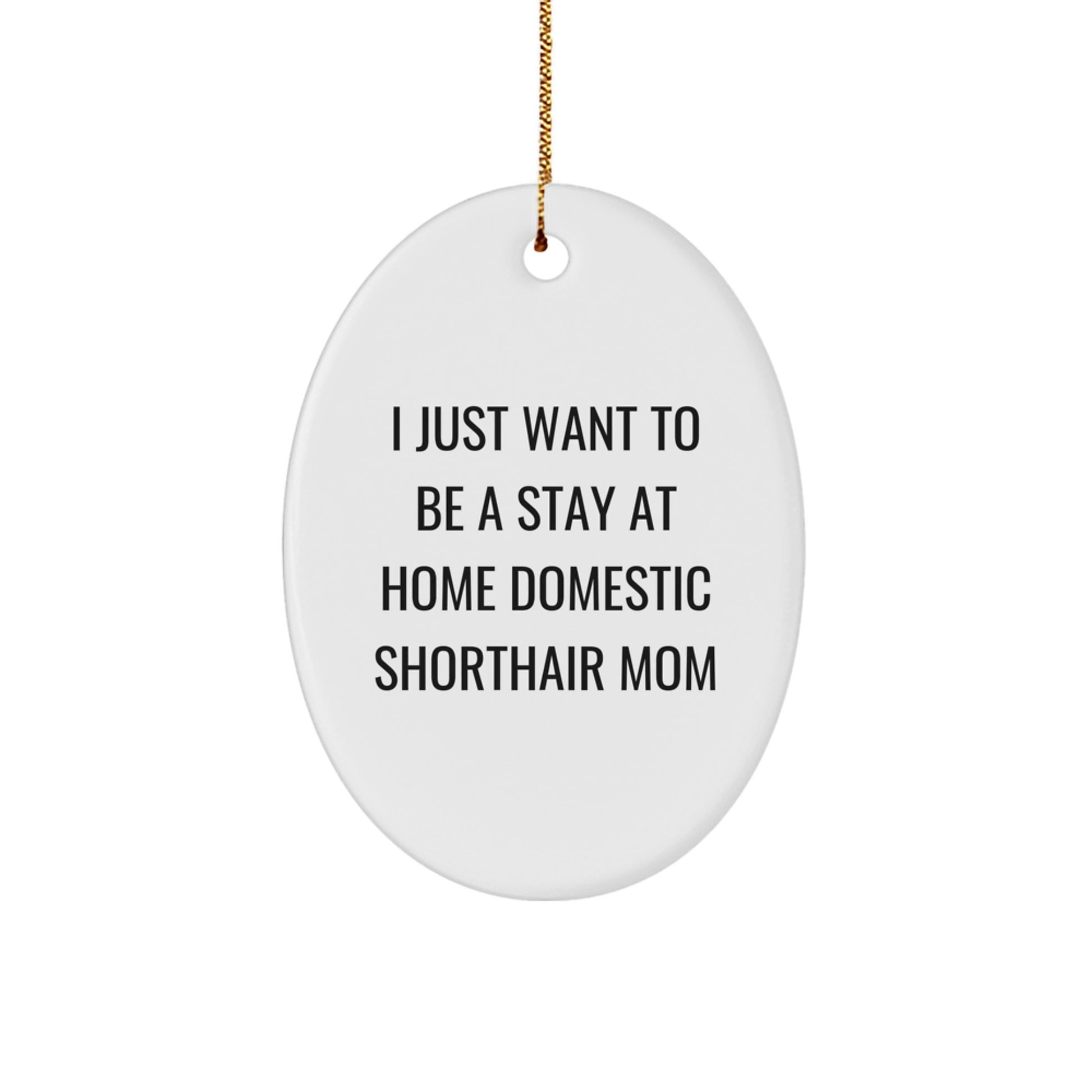 Funny Domestic Shorthair Cat Mom Gifts from Friends for Christmas Unique Oval Ornament - Image 1