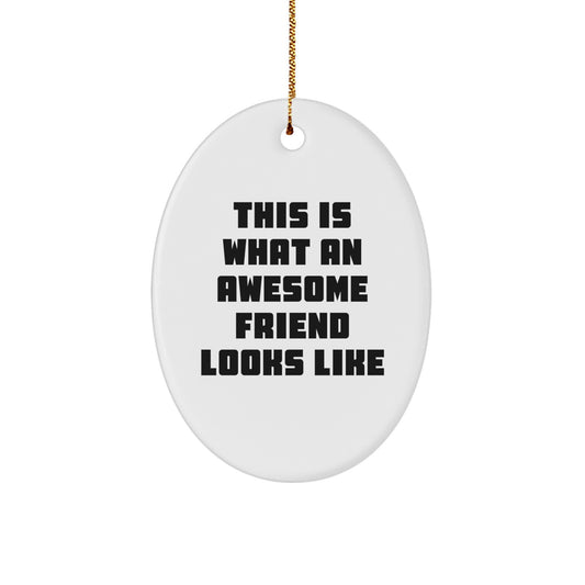 Funny Friend Oval Ornament Gifts from Men, Gifts for Friends, This Is What An Awesome Friend Looks Like, Christmas Unique Presents - Image 1