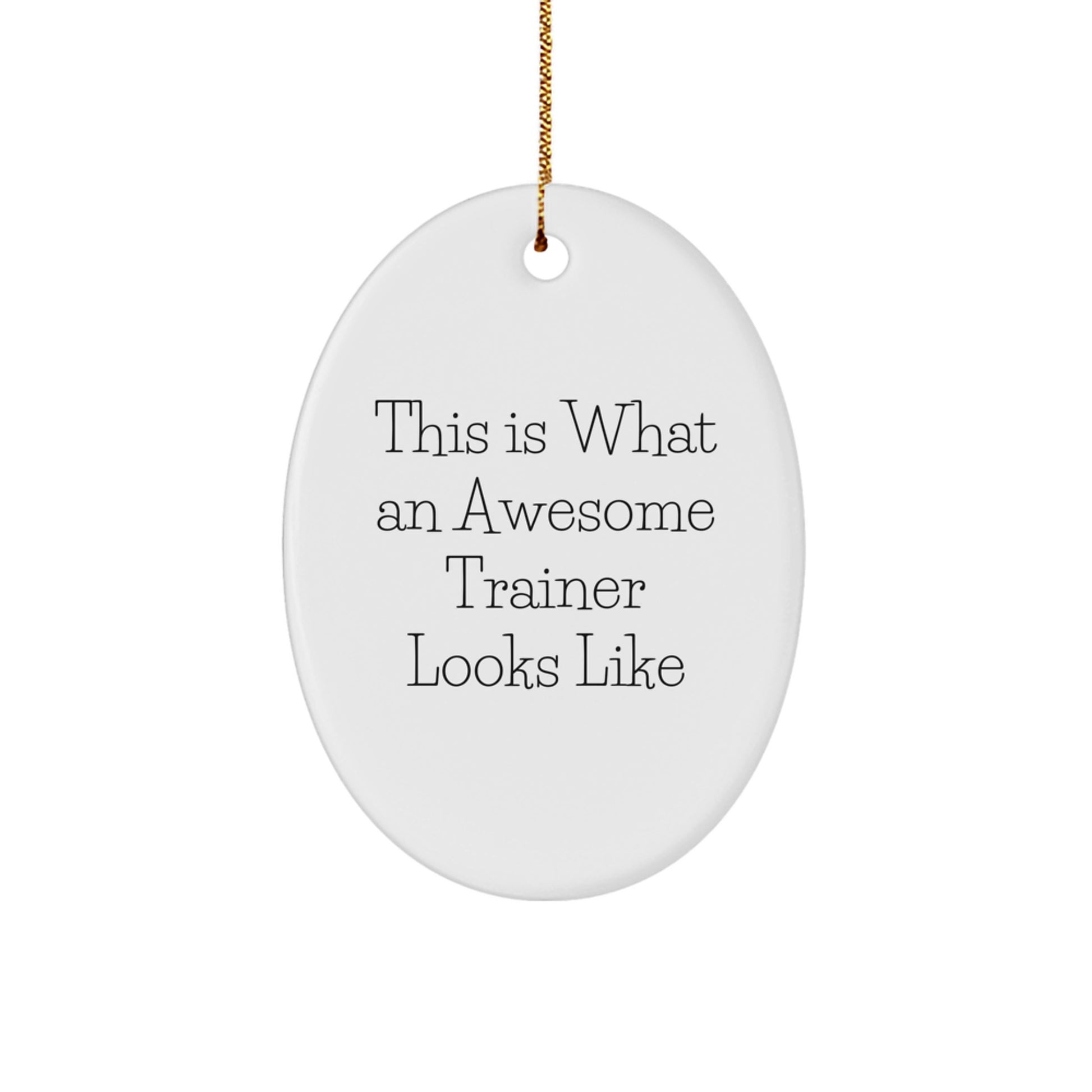 Funny Trainer Gifts from Friends - This Is What An Awesome Trainer Looks Like - Oval Ornament for Christmas - Image 1