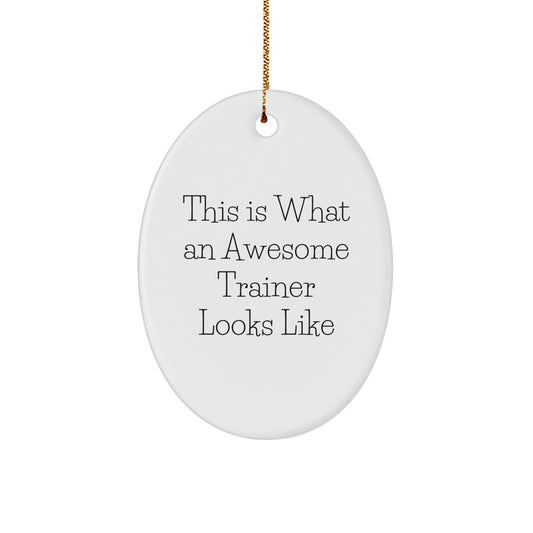 Funny Trainer Gifts from Friends - This Is What An Awesome Trainer Looks Like - Oval Ornament for Christmas - Image 1
