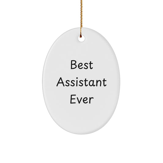 Best Assistant Ever Oval Ornament Gifts from Friends to Family - Funny Quotes, Oval Shaped, Durable MDF, High-Gloss Finish, Vibrant Colors - Perfect for Christmas Decorations - Image 1