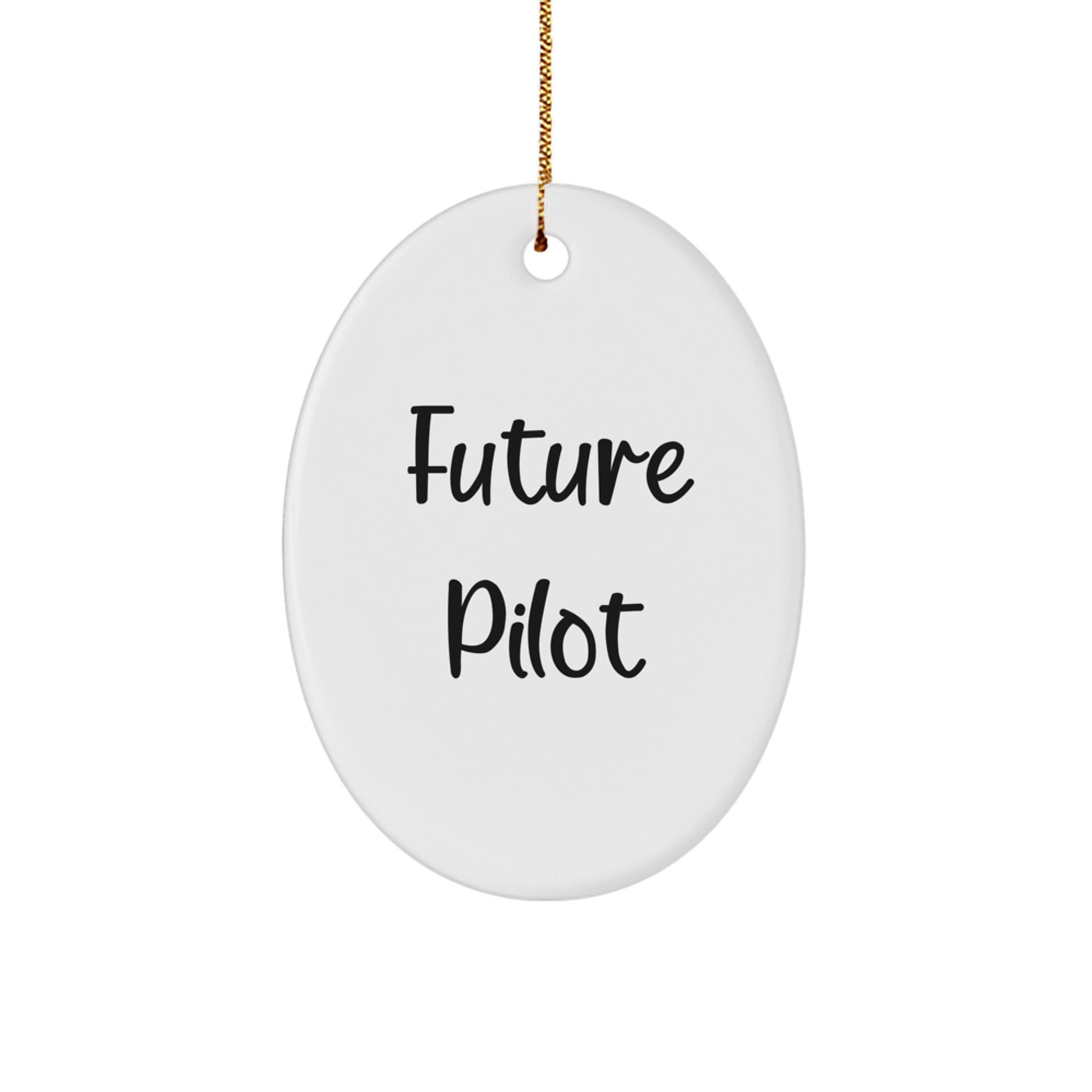 Inspiring Future Pilots - Funny Pilot Gifts from Friends and Family - Oval Ornament for Christmas Decorations - Image 1