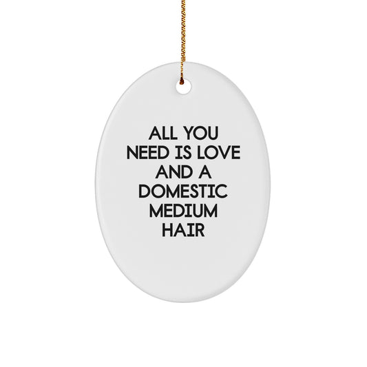 Domestic Medium Hair Cat Lover Gifts from Friends, Christmas Unique Oval Ornament with All You Need Is Love And A Domestic Medium Hair Quote, Gifts for Domestic Medium Hair Cat - Image 1
