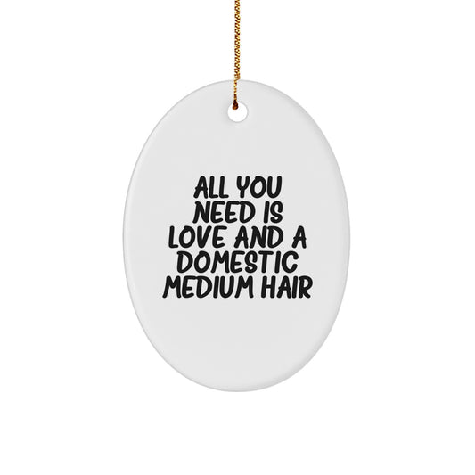 Domestic Medium Hair Lovers' Christmas Unique Gift, Oval Ornament - 'All You Need Is Love', Gifts from Friends, Family or Coworkers, Christmas Unique Decorations - Image 1