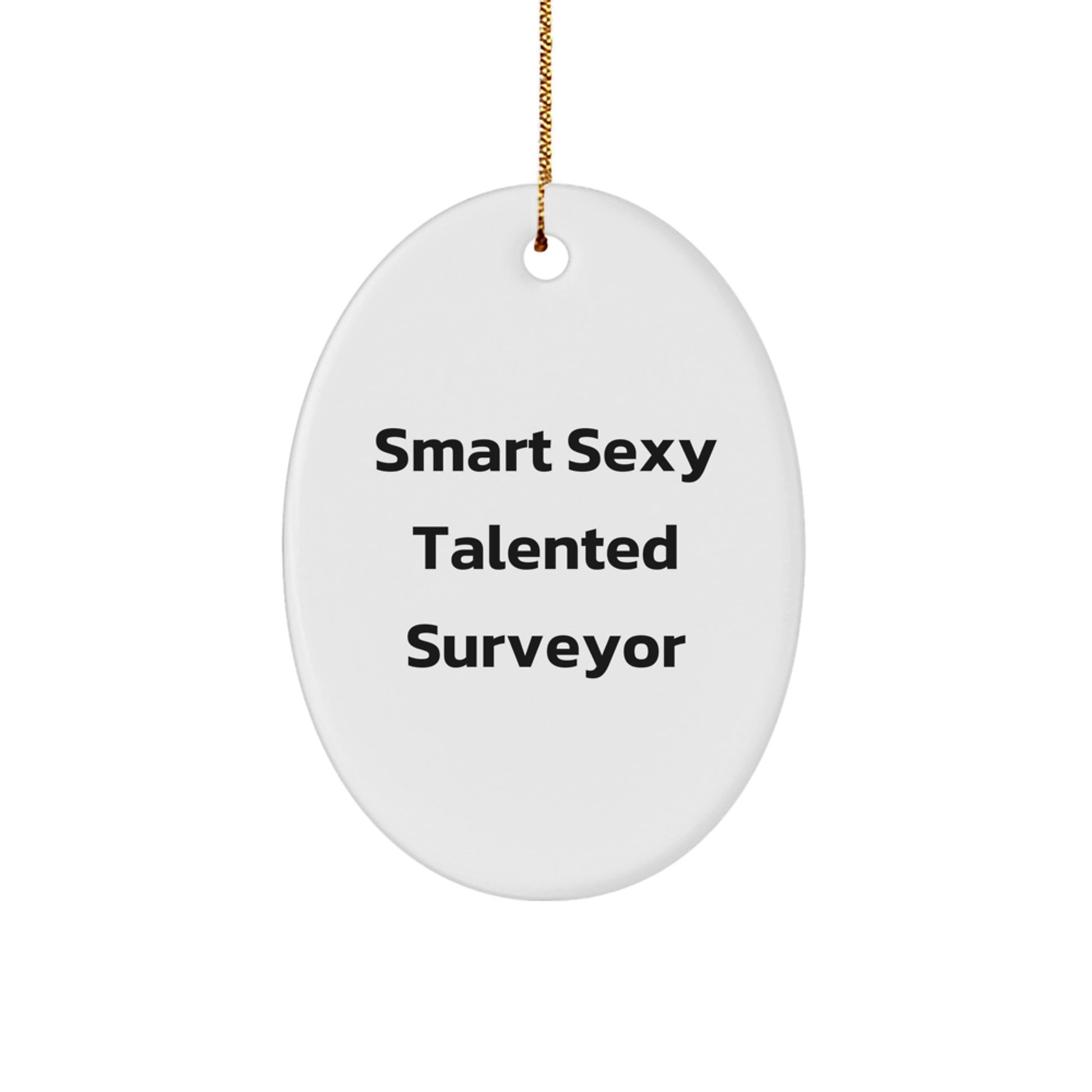 Funny Surveyor Gifts, Oval Ornament for Men or Women, 'Smart Sexy Talented' Quote, Christmas Unique Gifts from Friends, Gifts for Surveyor on Holiday - Image 1