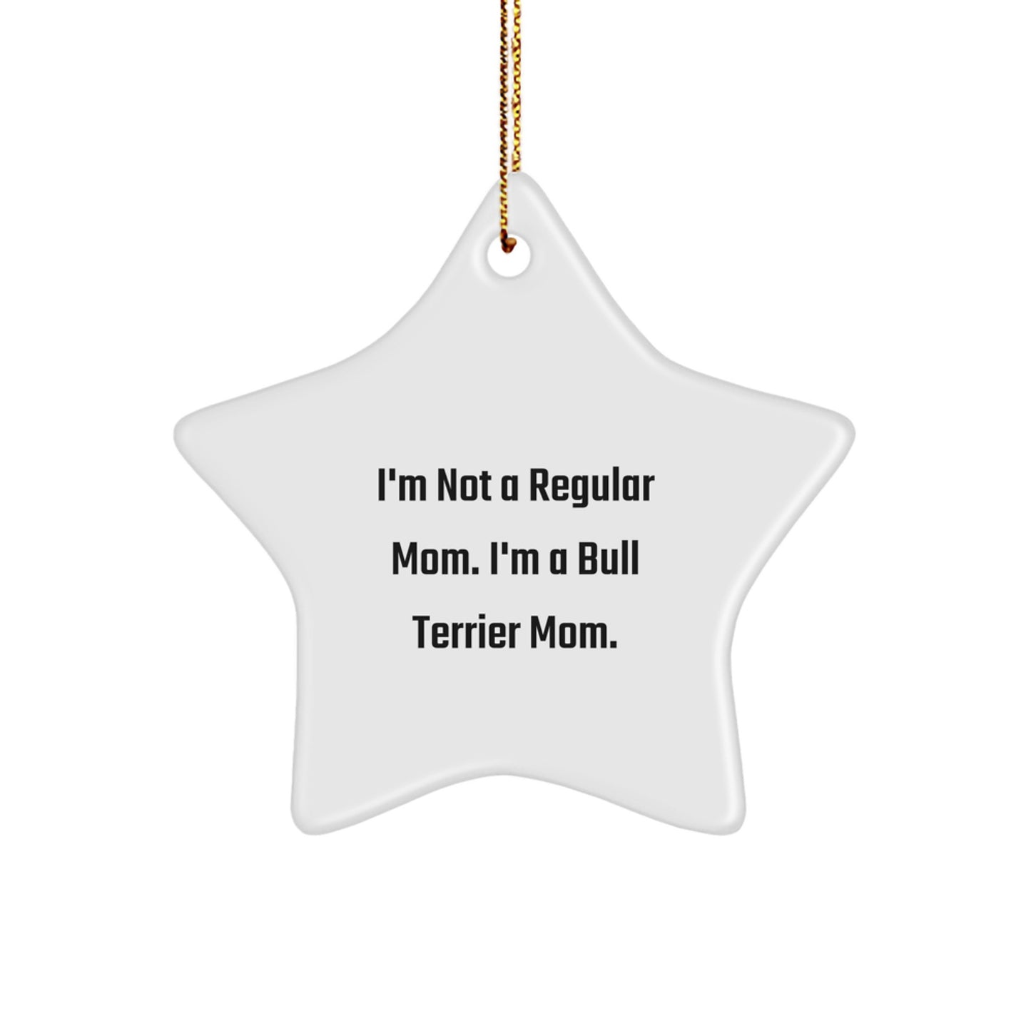 Bull Terrier Dog Mom's Unique Star Ornament Gifts from Family for Christmas - Image 1